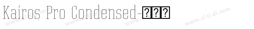 Kairos Pro Condensed字体转换 Kairos Pro Condensed字体转换